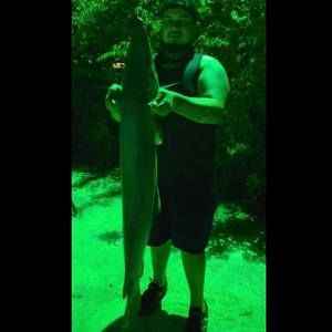 Meet your Posher, Jay